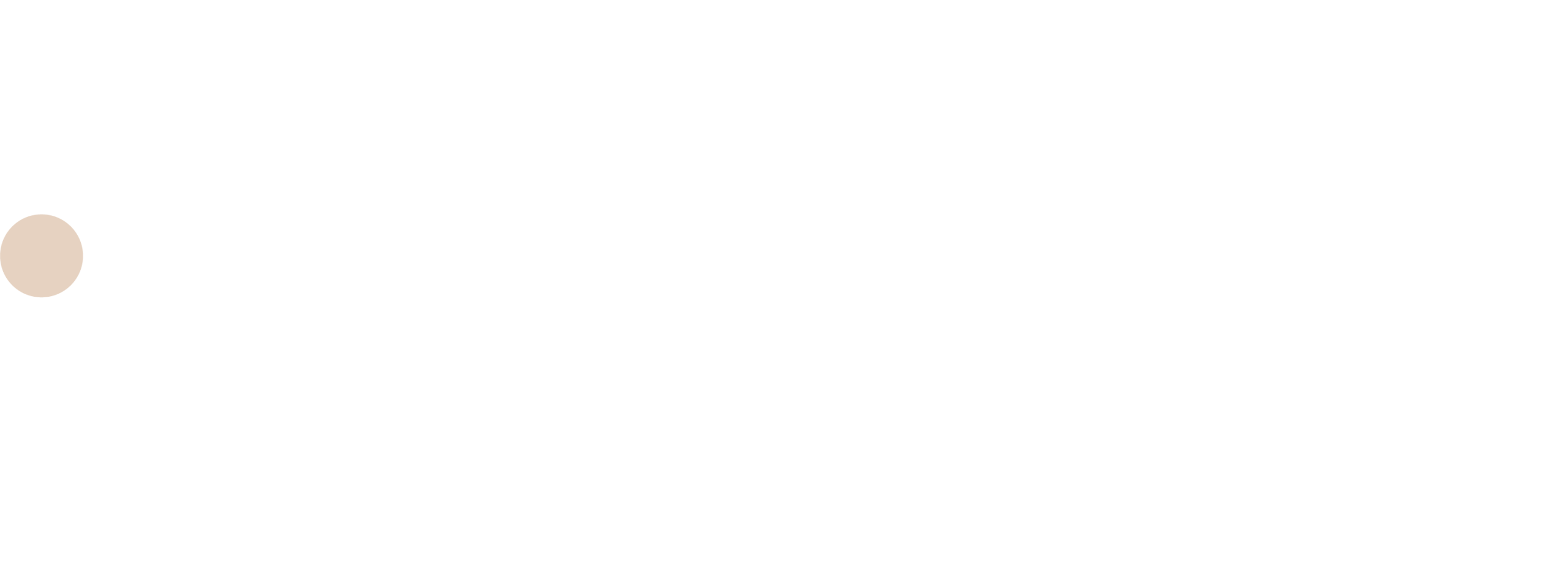 InDental logo